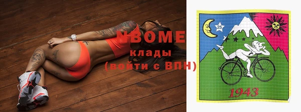 индика Алзамай