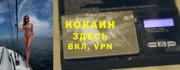 дурь Алексин