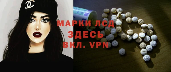 индика Алзамай