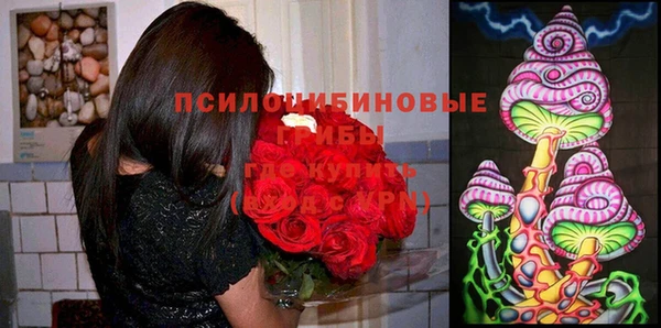 шишки Краснотурьинск