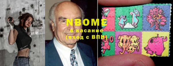 индика Алзамай