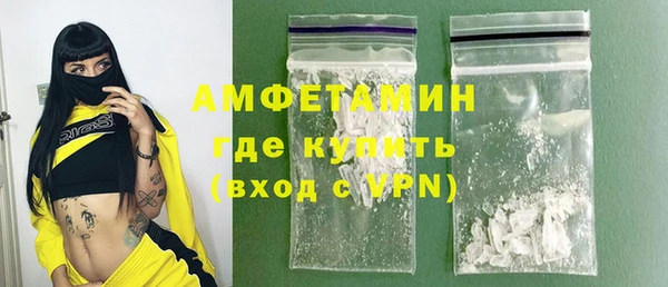 индика Алзамай