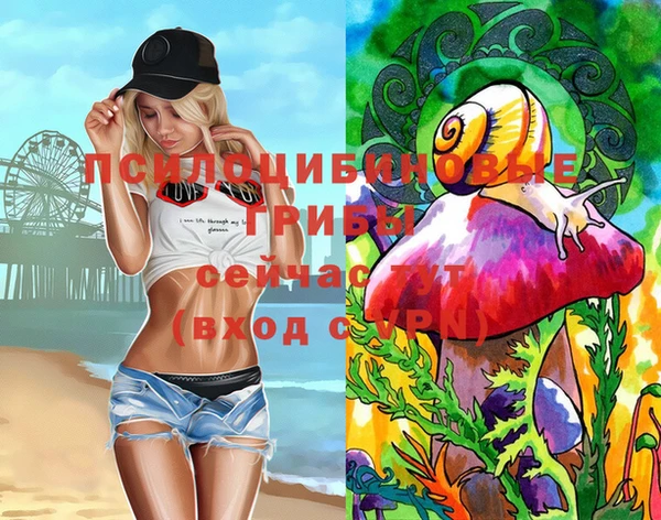 дурь Алексин