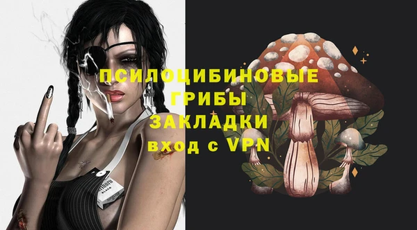 дурь Алексин